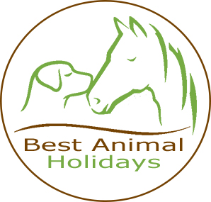Best Animal Holidays